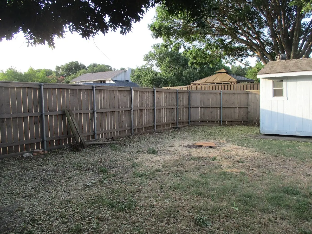 Cleared yard after professional tree removal in Caledonia