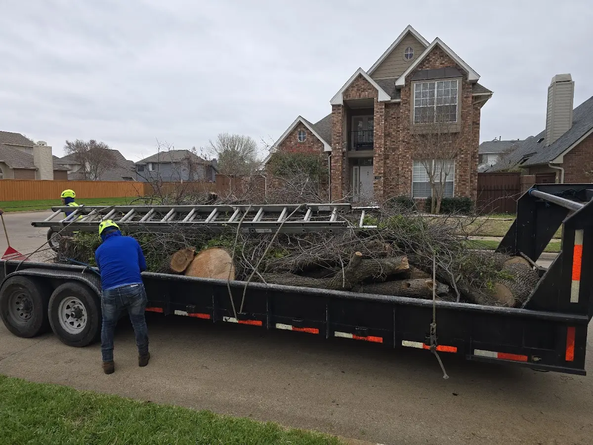 Expert Crown Reduction with proper safety equipment in Caledonia